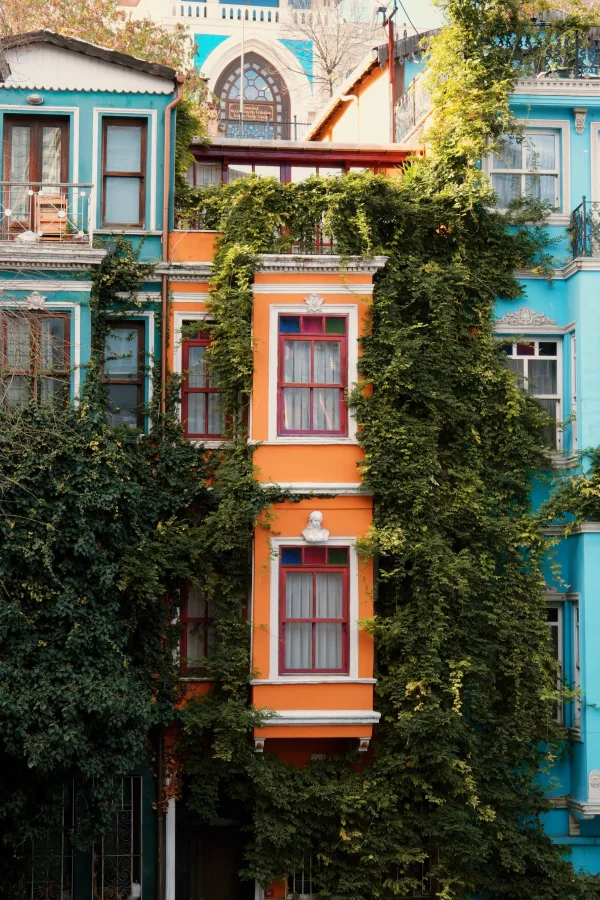 Vibrant townhouses in Istanbul decorated